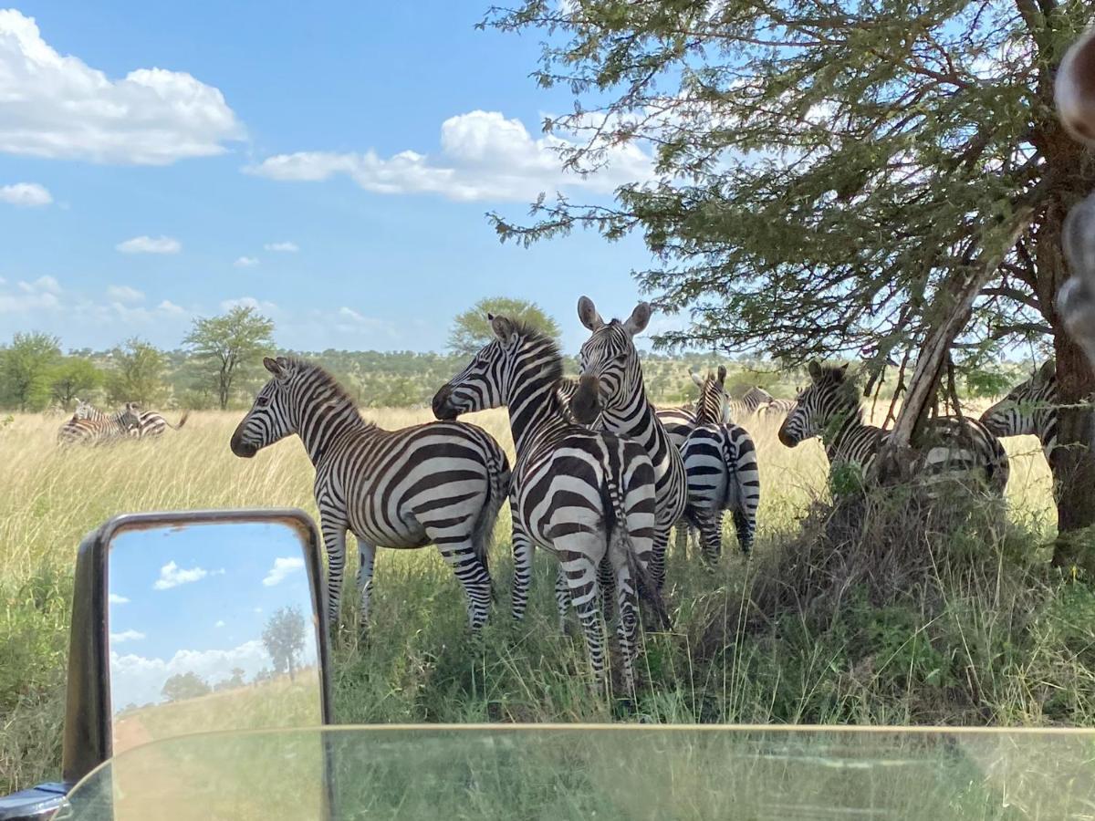 Foresight Eco Lodge & Safari Karatu Eksteriør billede